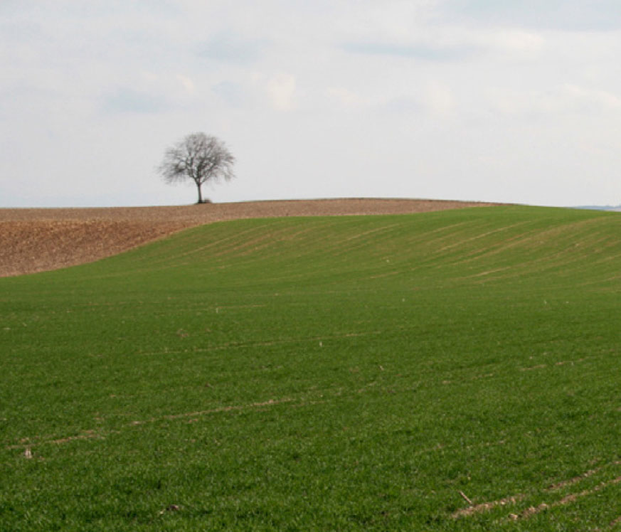 L'agriculture comme projet spatial