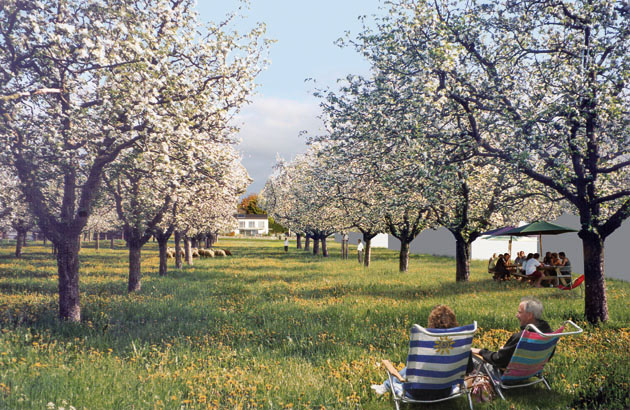 Lausanne (Suisse), principe de développement urbain reposant sur une mixité totale entre bâti (habitat, services, etc.) et des espaces productifs (jardins individuels ou commun, vergers collectifs valorisés ponctuellement par pâturage et ayant fonction de parcs, etc.).