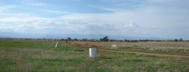 Limite entre zone cultivée et friche dans la zone tampon