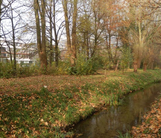 La ville biodiversitaire !