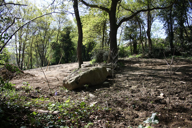 Une expérience de projet de « renaturation » d’un site aux sols dégradés menée par la ville de Nantes (44) : la base nautique de la Jonelière. Commanditaire : Ville de Nantes – Conception : Bureau d’études Service espaces verts et environnement (SEVE), ville de Nantes – Conseils : botaniste SEVE et chiroptérologue, Corela – Gestionnaire : ville de Nantes © Ville de Nantes