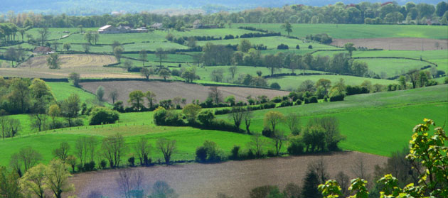 Figure 1 – Structure et dynamique du paysage. Ce paysage se caractérise par sa composition (surface totale en cultures, surface bâtie, surface boisée, linéaire de haie) et sa configuration (par exemple les haies ne sont pas toutes connectées entre elles, les parcelles cultivées ont des tailles et des formes différentes). Les composantes de ce paysage ont des dynamiques différentes, avec des changements rapides dans les cultures par rapport aux éléments plus pérennes comme les bois et les haies. Tous ces éléments paysagers vont influencer la présence, les déplacements et la pérennité des populations d'espèces végétales et animales en fonction de leurs caractéristiques biologiques et écologiques.