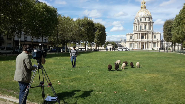 Ecomouton Paris Invalides