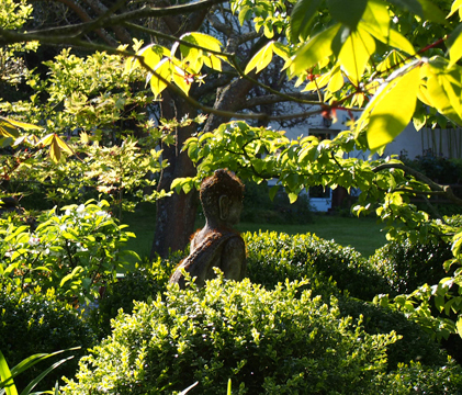 Le temps d'un jardin