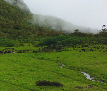 La Réunion, exclamation du paysage