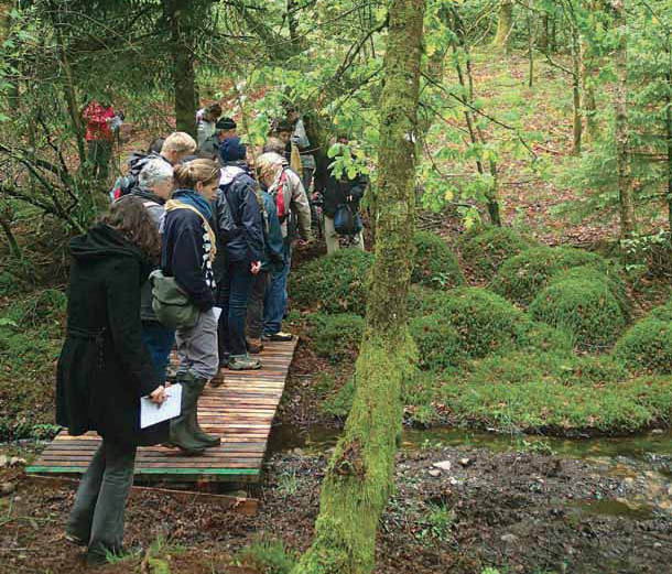 Sur les chemins de Saint-Goussaud