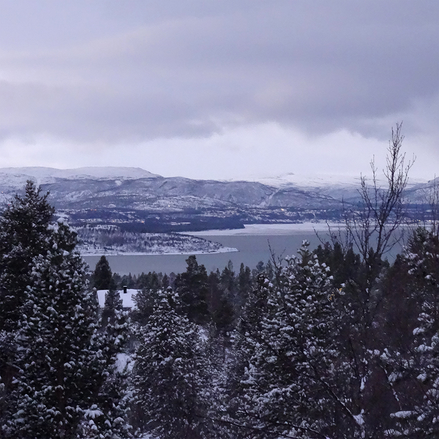 Une année dans le Finnmark, épisode 8