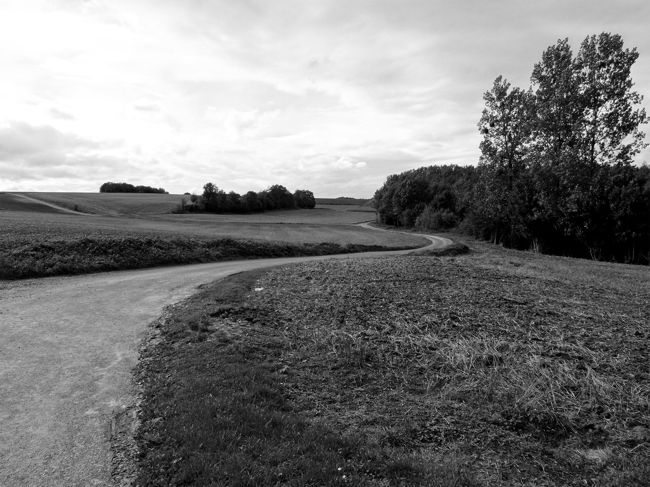 Dessiner un projet agricole durable dans la vallée de l’Aronde - De l’agriculture conventionnelle à l’agriculture biologique, comment le paysagiste peut-il enrichir un projet d’agricole durable ?