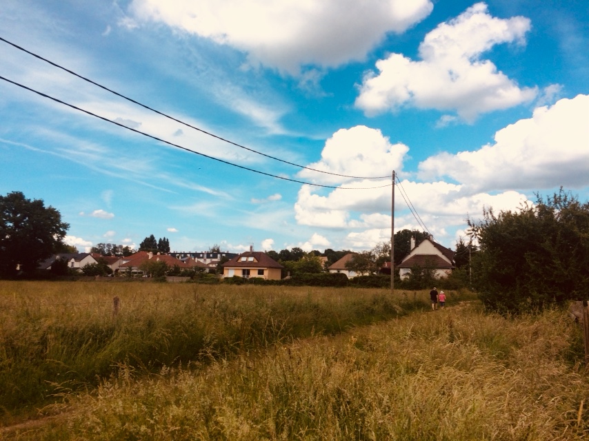 Image principale de Le GRADIENT AGRICOLE : caractérisation par grades de proximité relationnelle de l’agriculture sur un territoire PÉRIURBAIN du Val-de-Marne