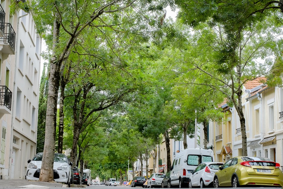 Évaluation des effets d’îlots de chaleur urbains à Vichy