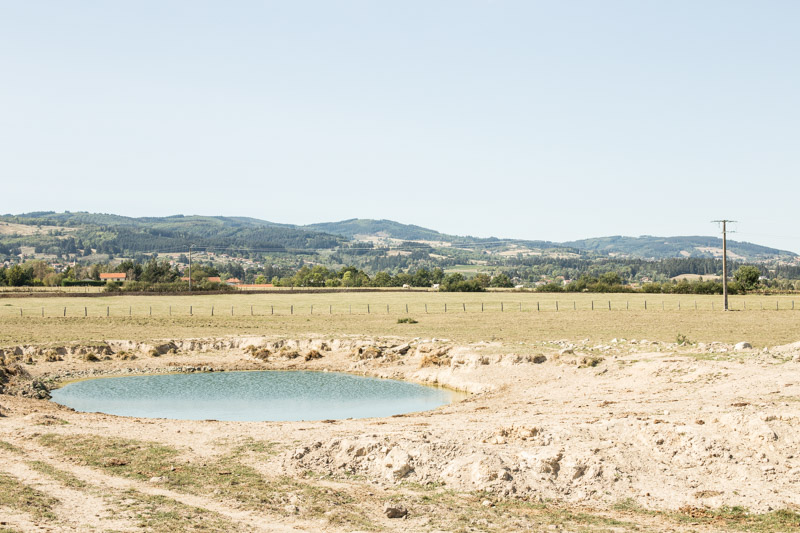 Que sont devenues nos vertes prairies ?