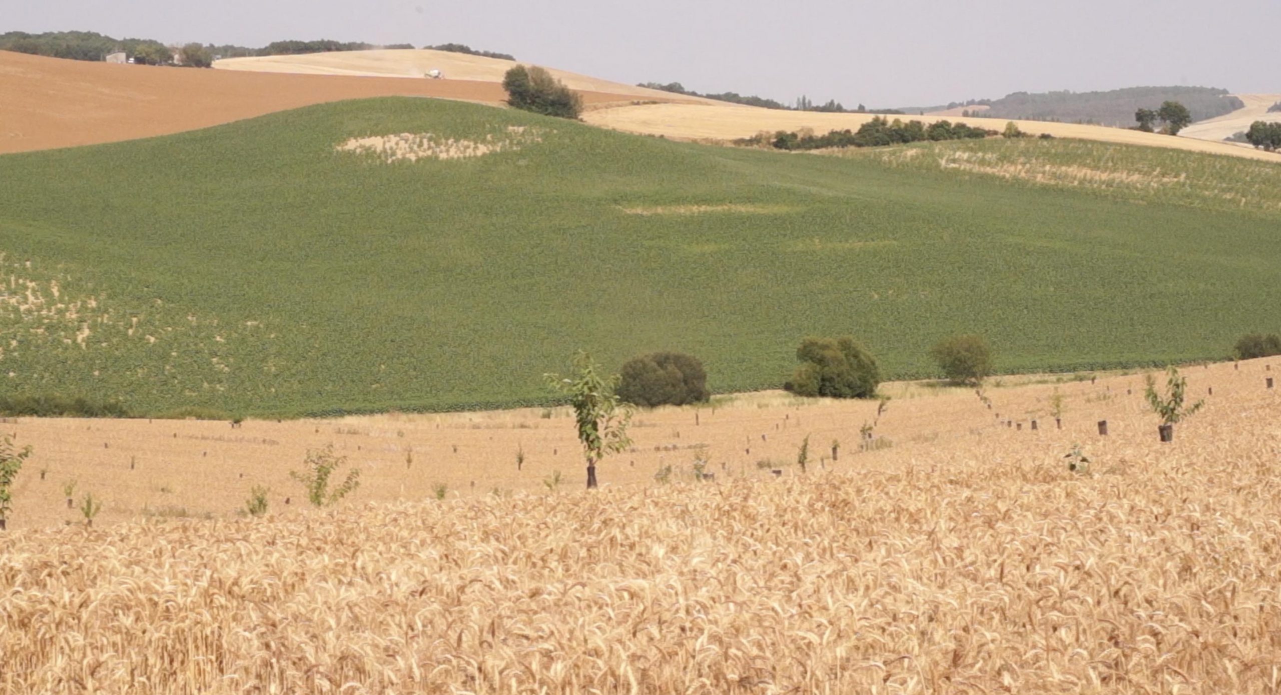 Paysages en élaboration