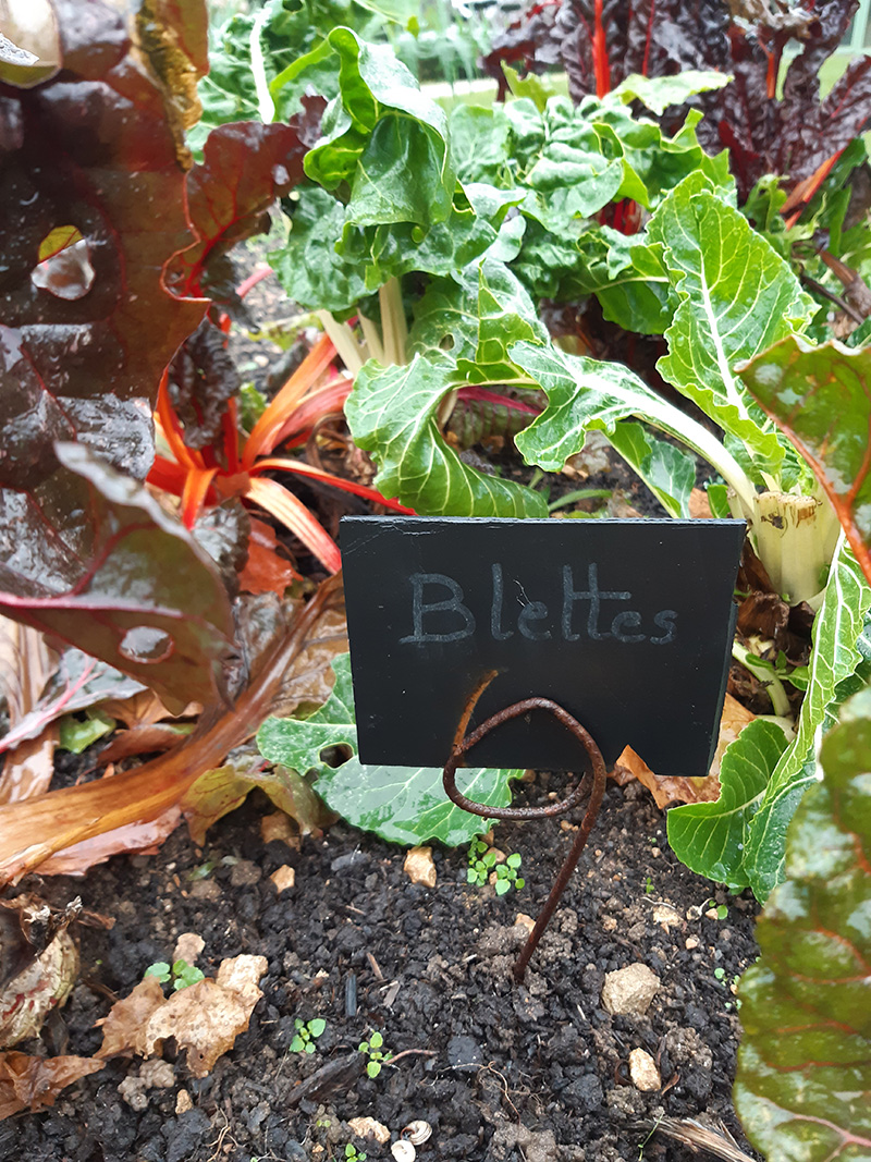 Journal de bord d'un service  espaces verts