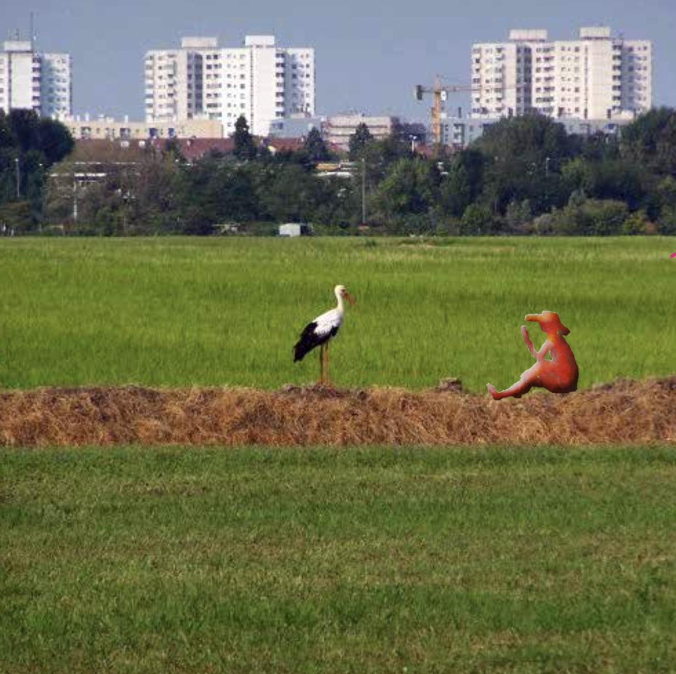 Sud Milan (Italie) : un territoire métropolitain qui protège son agriculture, ses paysages, ses patrimoines, et développe une nouvelle économie, une culture partagée et des  partenariats avec les citadins