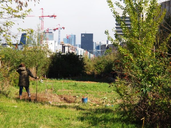 Ferme du Bonheur, Nanterre. 2012 © Sébastien Goelzer