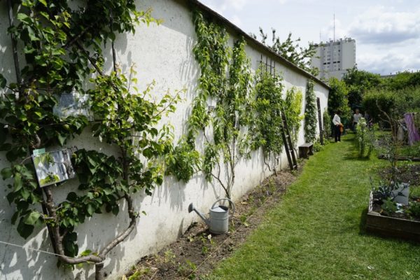 Montreuil, fruit walls © Sébastien Goelzer