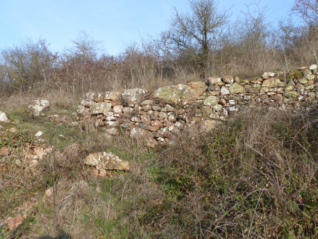 La mémoire du paysage