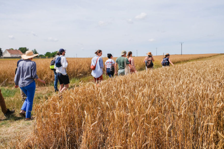 Image principale de Comprendre les paysages agricoles, une expérience pédagogique par la marche in situ