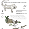 cahier Faune- Ebook – Image 2