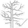 cahier Flore - Ebook – Image 3