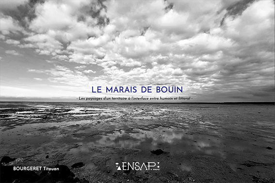 Le marais de Bouin, les paysages d'un territoire à l'interface entre humain et littoral