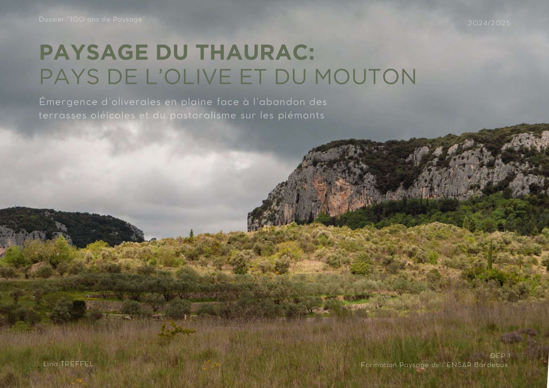 PAYSAGE DU THAURAC: PAYS DE L’OLIVE ET DU MOUTON