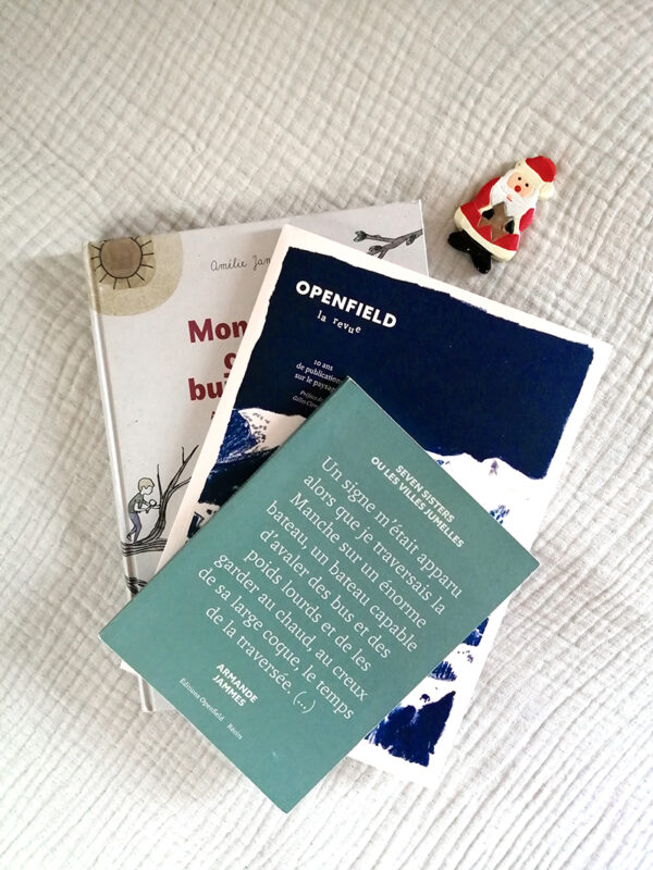 Trois livres pour Noël !
